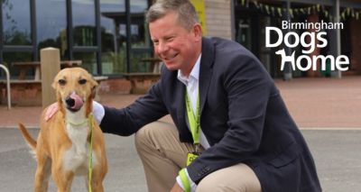 Association of Dogs and Cats Homes elects Giles Webber as new chair